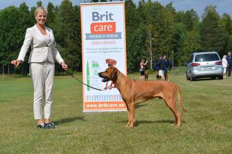 <p>Bästa hane championklass: FI UCH NORD JV-15 SE UCH Ulon-Hills Leo The III Carlos</p>
